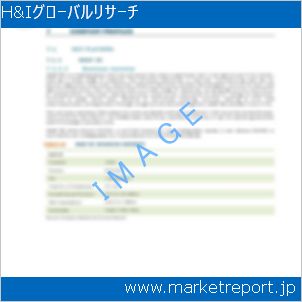 市場と産業調査レポートのイメージ